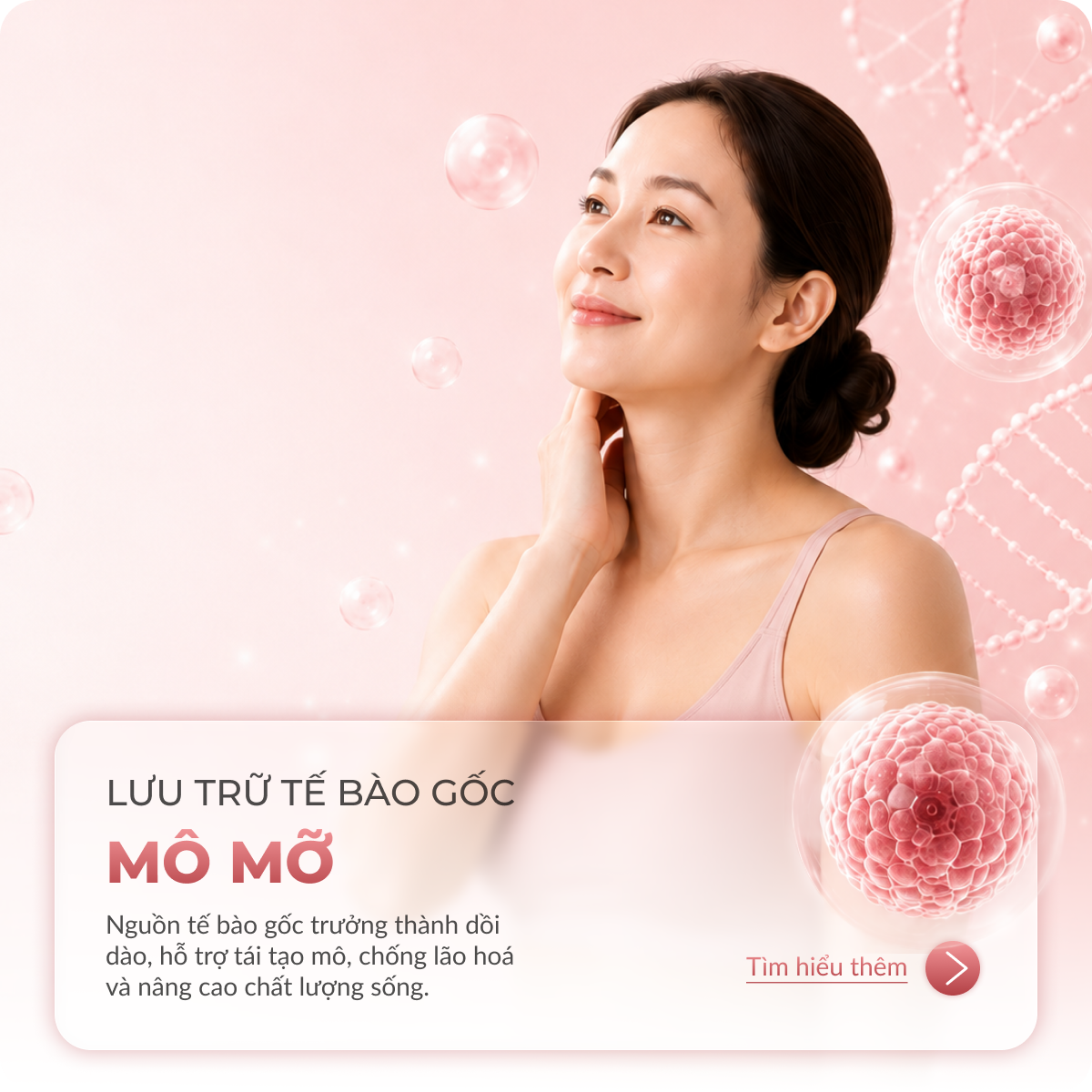 lưu trữ tế bào gốc mô mỡ adsc