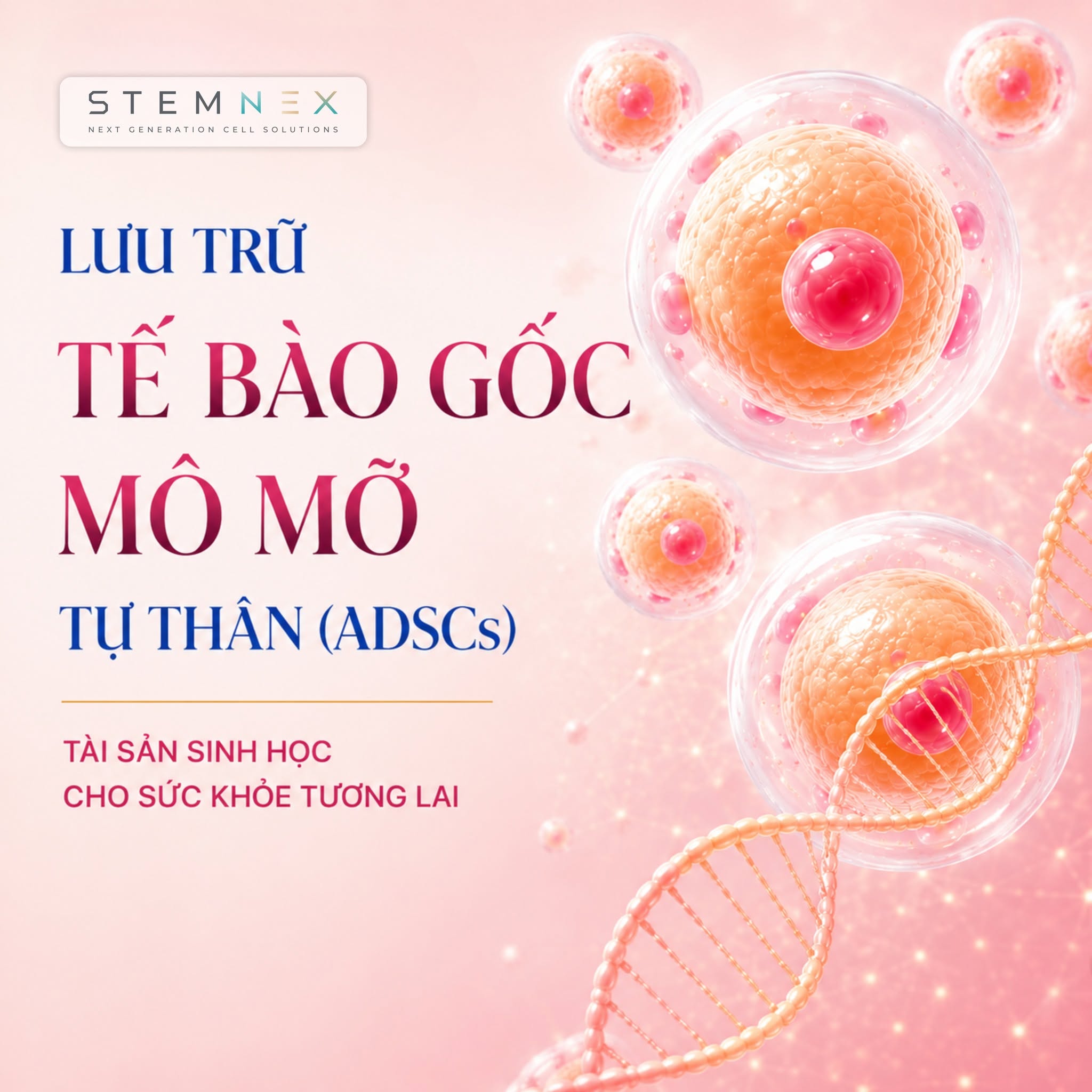 lưu trữ tế bào gốc mô mỡ tự thân